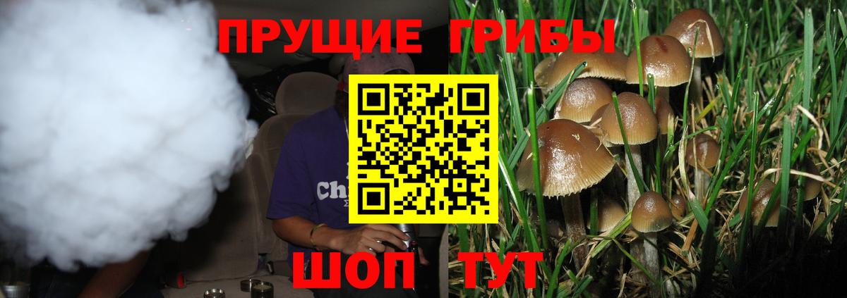 купить наркотики сайты  Вход с VPN  Галлюциногенные грибы Psilocybine cubensis  Грязи  Псилоцибиновые грибы прущие грибы 